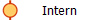 Intern